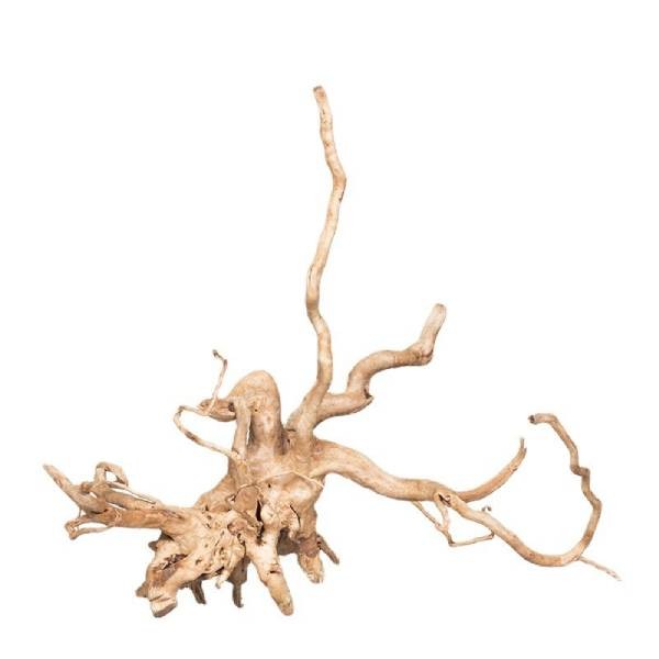Natural Large Driftwood For Aquarium Decorations Assorted Branches Dearded  Drago
