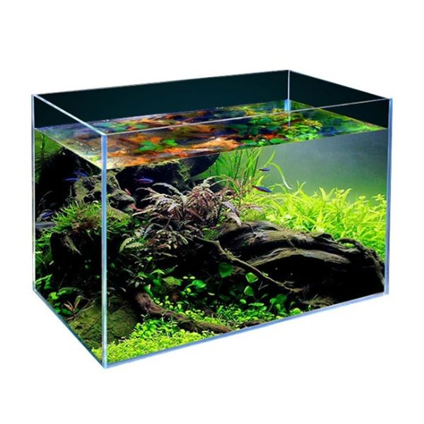 steenkool advocaat speler B&K Low Iron High Quality Crystal Clear Glass Aquarium Tank for Fish and  Planted Tank (50 to 80 cm)