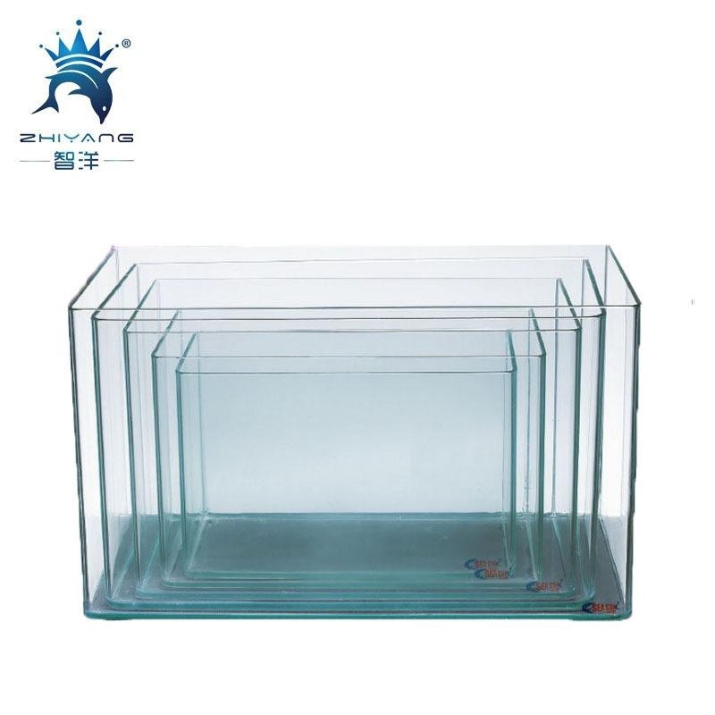 Curved clearance glass aquarium