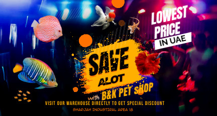 BK Pet Shop Online Shopping NO.1 Pet store in UAE