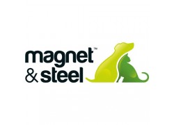 Magnet & Steel