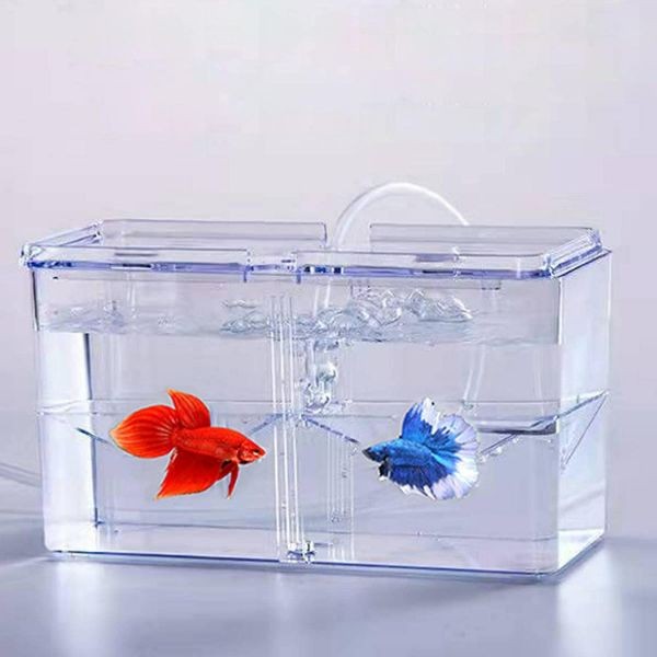 B&K Multifunctional Fish Breeding Box Aquarium Isolation Box Hatchery ...