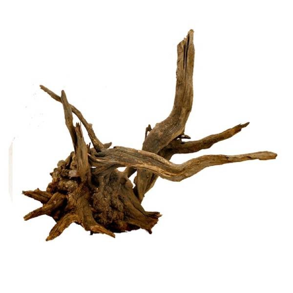 Large Driftwood for Aquarium Decorations Natural