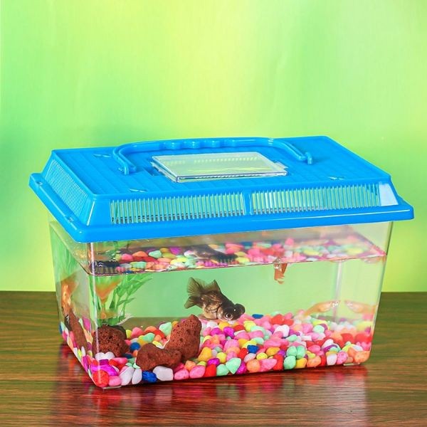 Betta Fish Bottle Box A901 With Handle