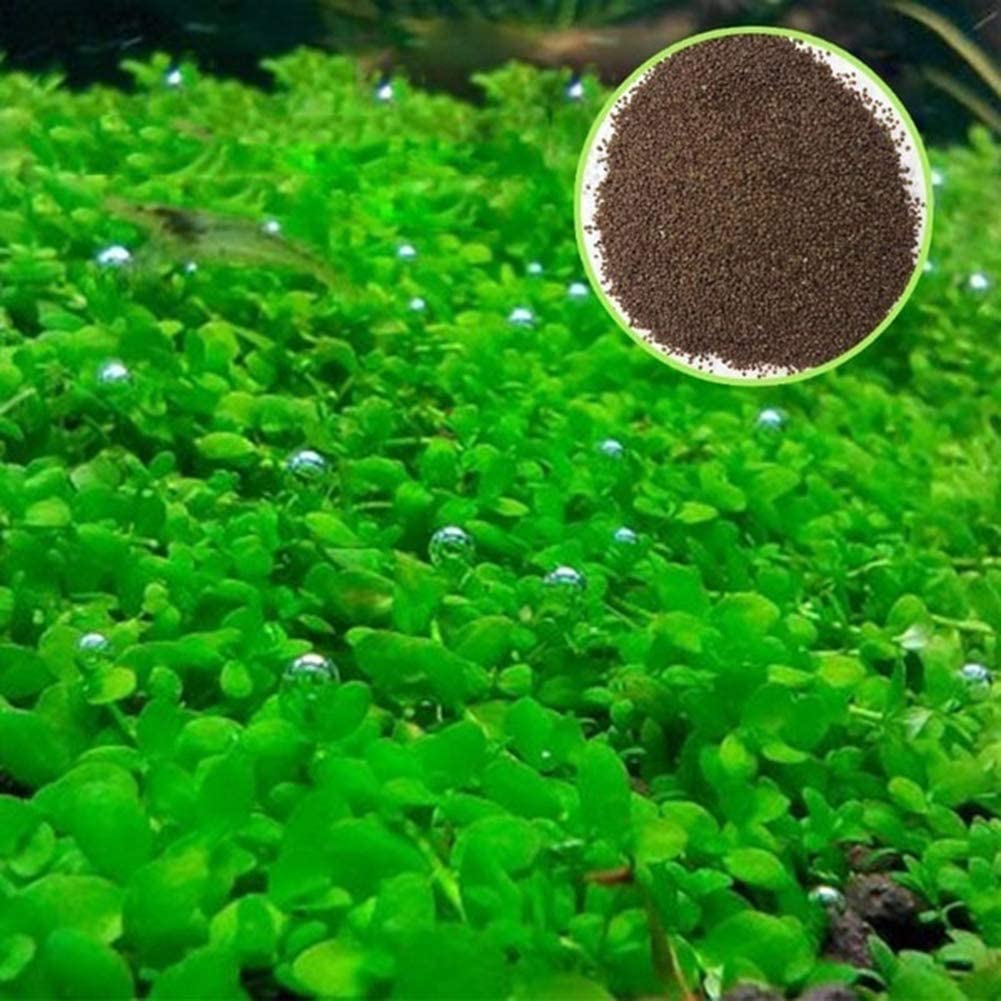 Aquarium Grass Seeds for Planting Water Plant Seeds Water Grass Seeds for Garden Lawn Fish Tank Aquarium Decor 35g Pack