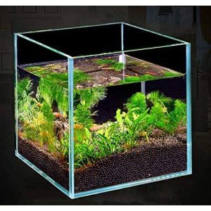 AquaNature Super Extra Clear Glass Customize Fish Aquarium(Size