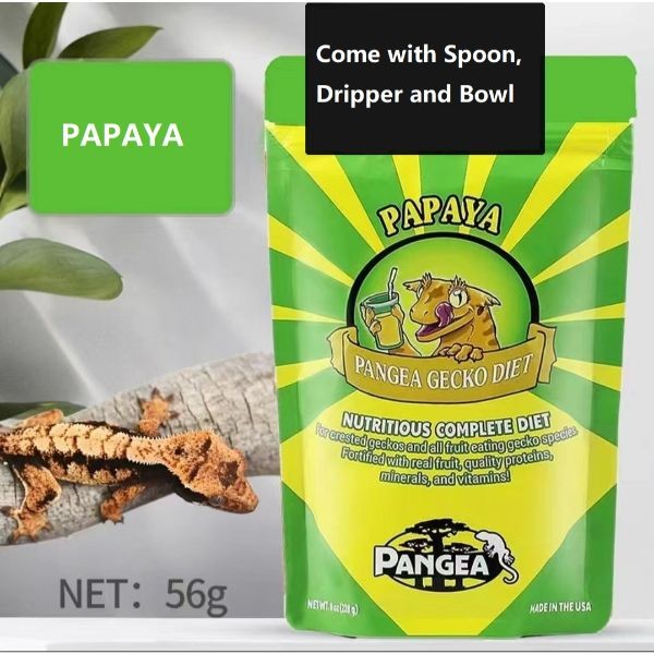 Pangea gecko clearance food