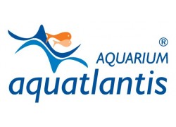 Aqualantis